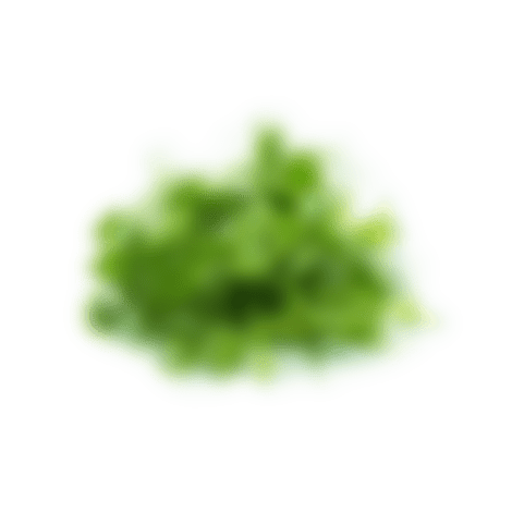 Sprouted peas