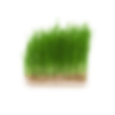 Sprouted wheat