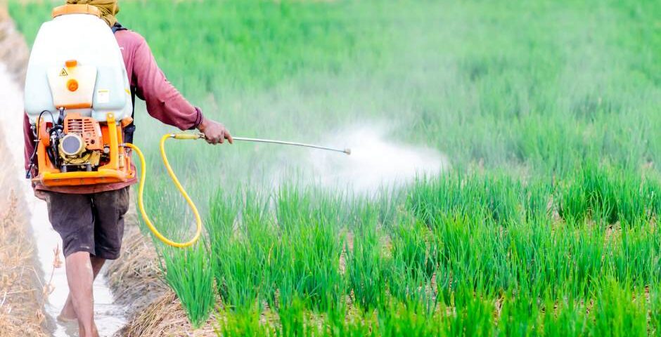 🌾 How Fertilizers Help Farmers: The Key to Better Harvests