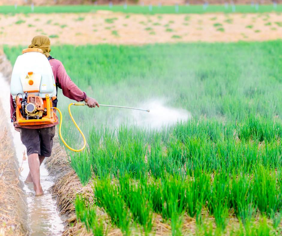 🌾 How Fertilizers Help Farmers: The Key to Better Harvests