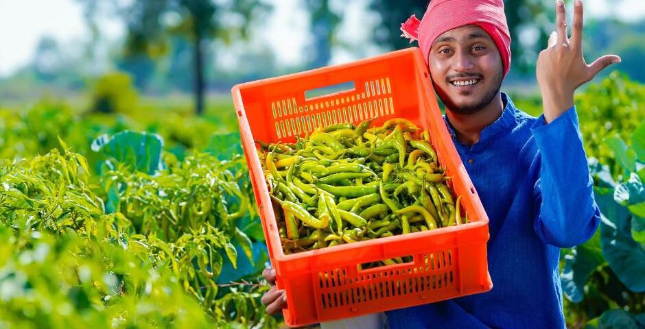 🌿Go Organic – How Vishakan Biotech Supports Chemical-Free Farming