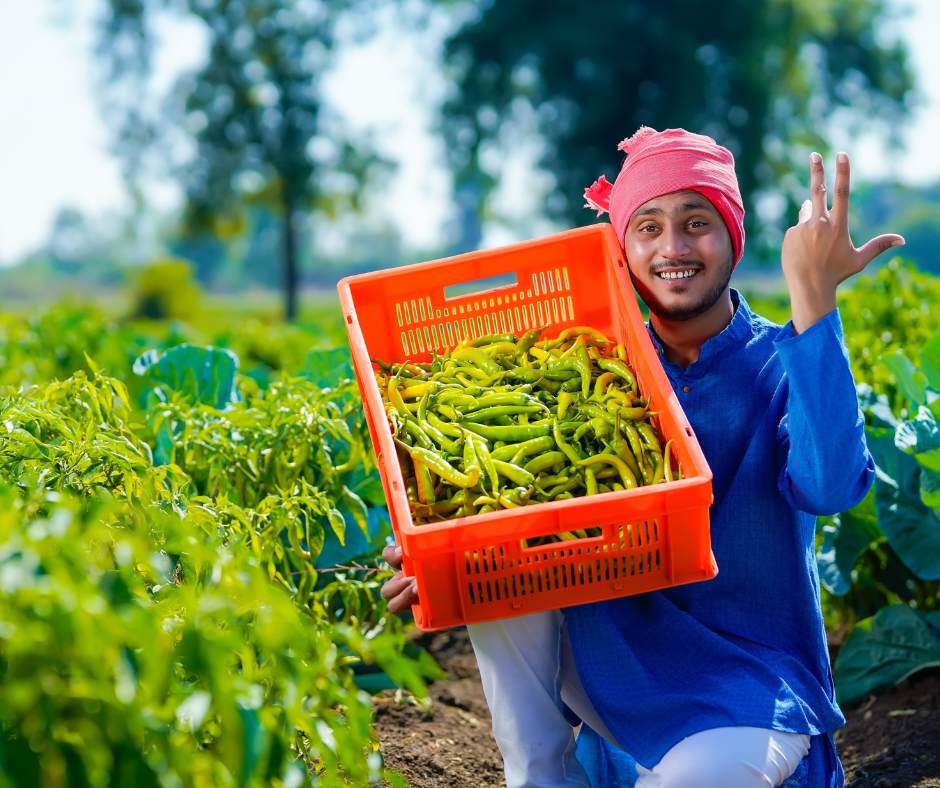 🌿Go Organic – How Vishakan Biotech Supports Chemical-Free Farming