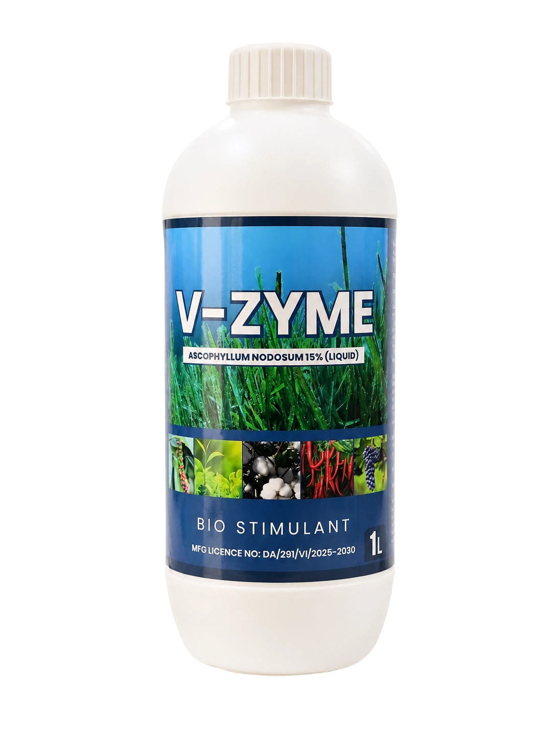 V-ZYME seaweed extract bio-stimulant